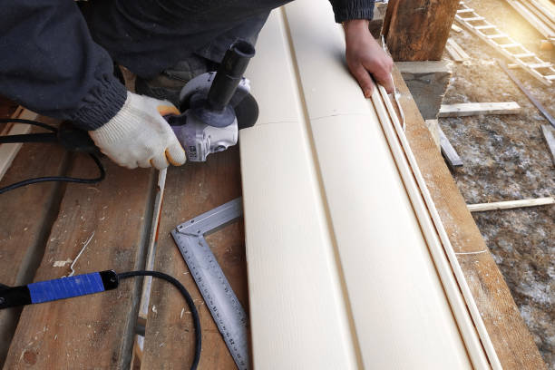 Affordable Siding Repair and Maintenance Services in Dover, FL